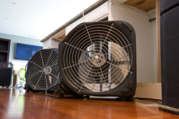 Drying & Dehumidification Services in Coppell