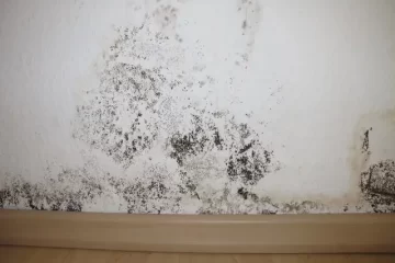 mold remediation services in Coppell