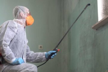 mold removal in Coppell